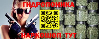 крисы Вязники